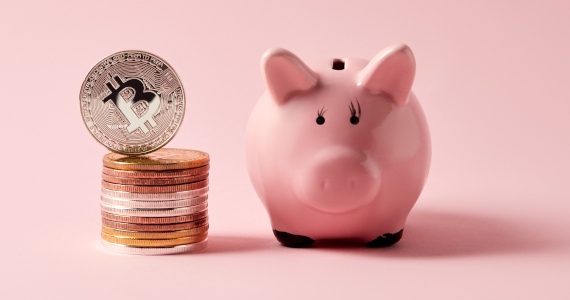 Cryptocurrency and bitcoin wallet and cold storage
